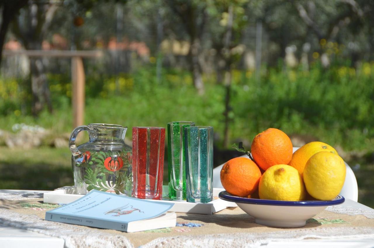 Bed & Breakfast Cascina Degli Ulivi Castelluzzo