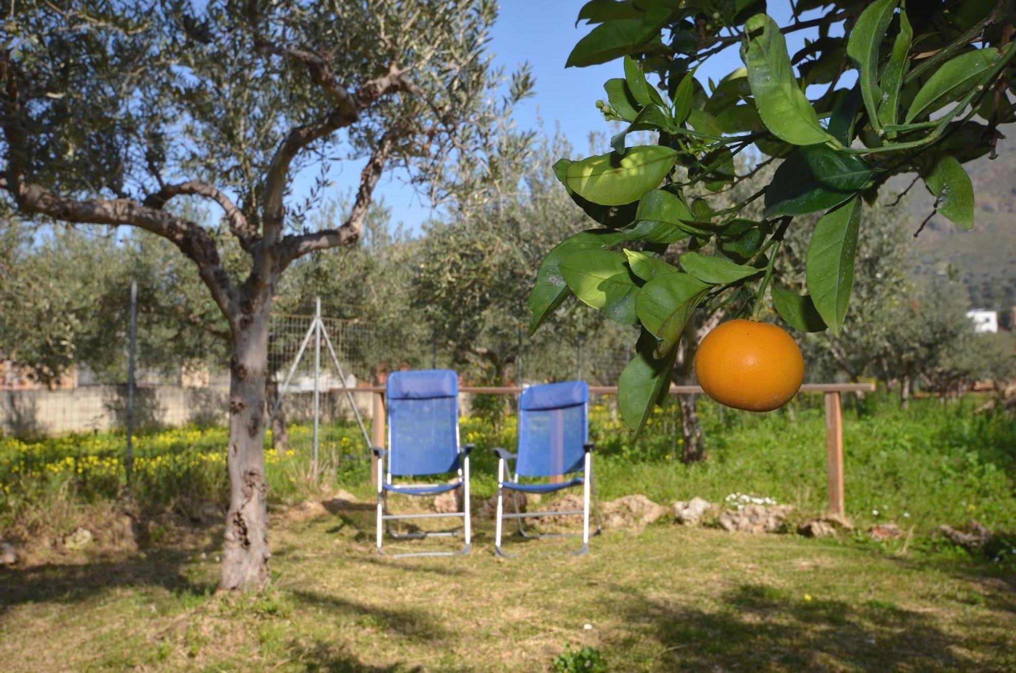 Cascina Degli Ulivi 3*